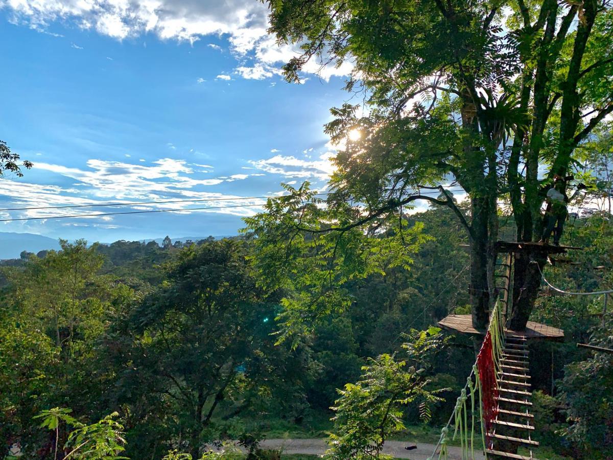 Refugio Del Bosque Glamping Hotel La Mesa  Exterior foto